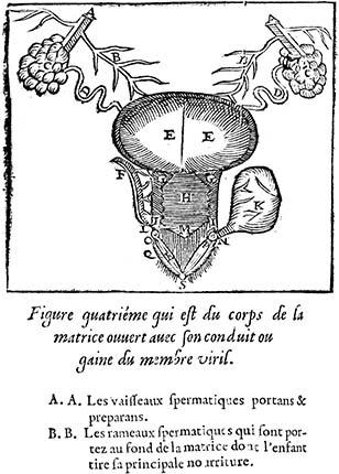 diagram of womb, Duval 1612